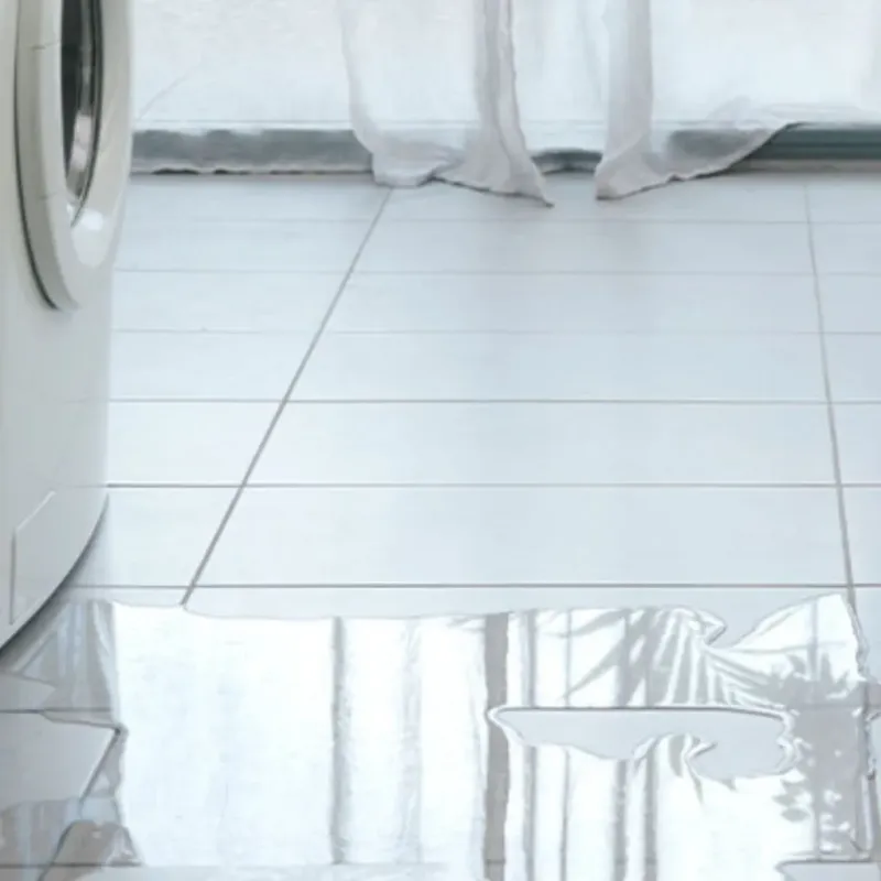 Appliance Leak Cleanup in Orleans County, NY