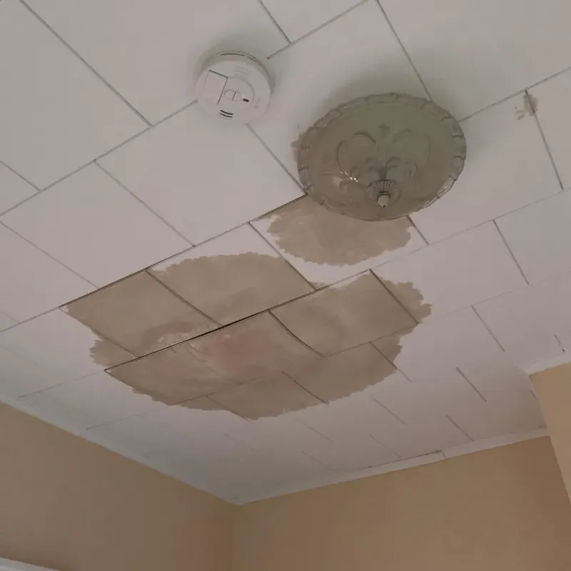 Ceiling Water Damage Repair in Orleans County, NY