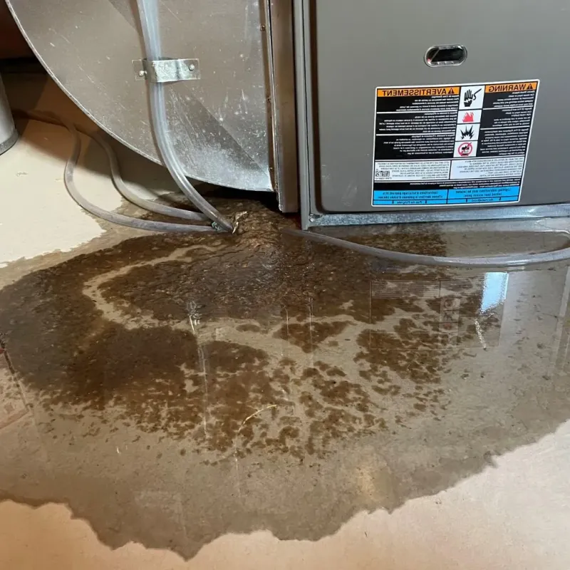 Pipe Burst and Leak Restoration in Orleans County, NY