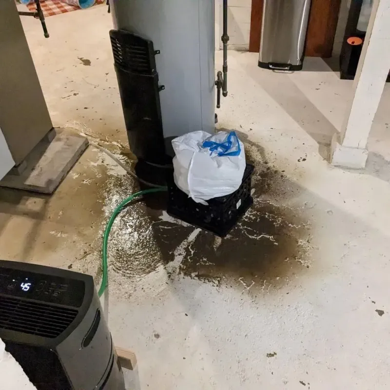 Sewage Backup Cleanup Service in Orleans County, NY